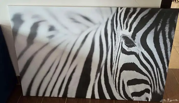 اثاث مستعمل نظيف وماكينة قهوه . 6