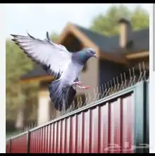 طاردالحمام مكيفات فايبر جلاس خارجية شباك حمام فايبر مرواح 6