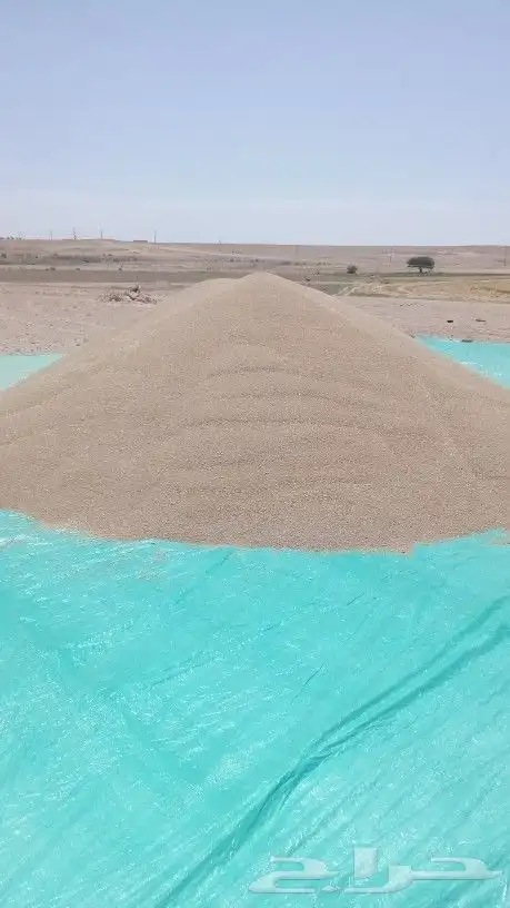 السلام عليكم يوجد لدينا جميع انواع النخل صقعي ومجدوله وهل 4