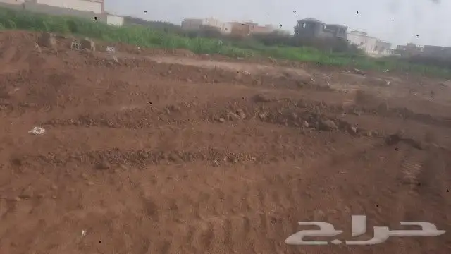 عدسيه للبلاط قلابات سكس تريلات 4