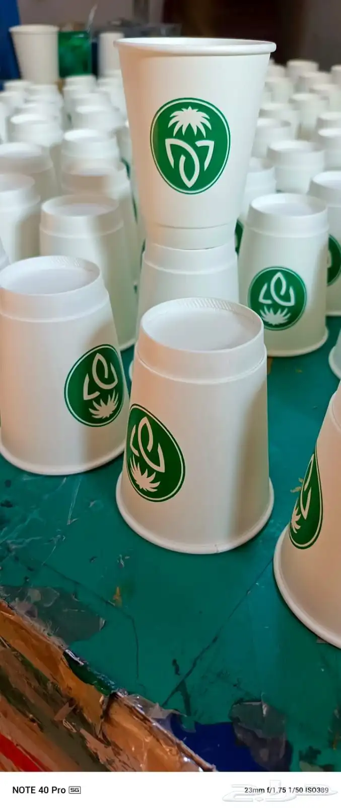 اكواب ورقية 8