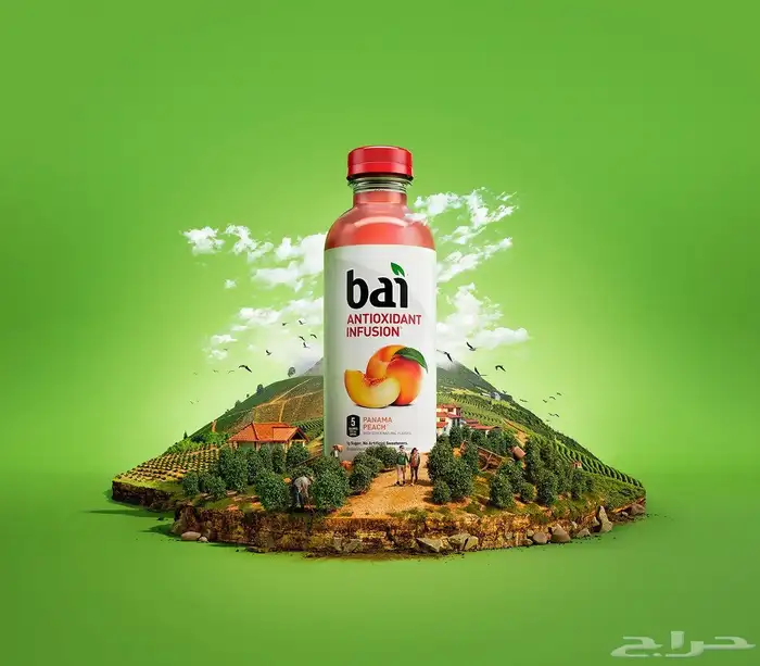 تصميم .دعاية وإعلان. تصميم سي في . 4