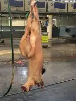 مشاوي المزاحميه كباب أوصال عريس ريش كبده مقبلات خبز 3