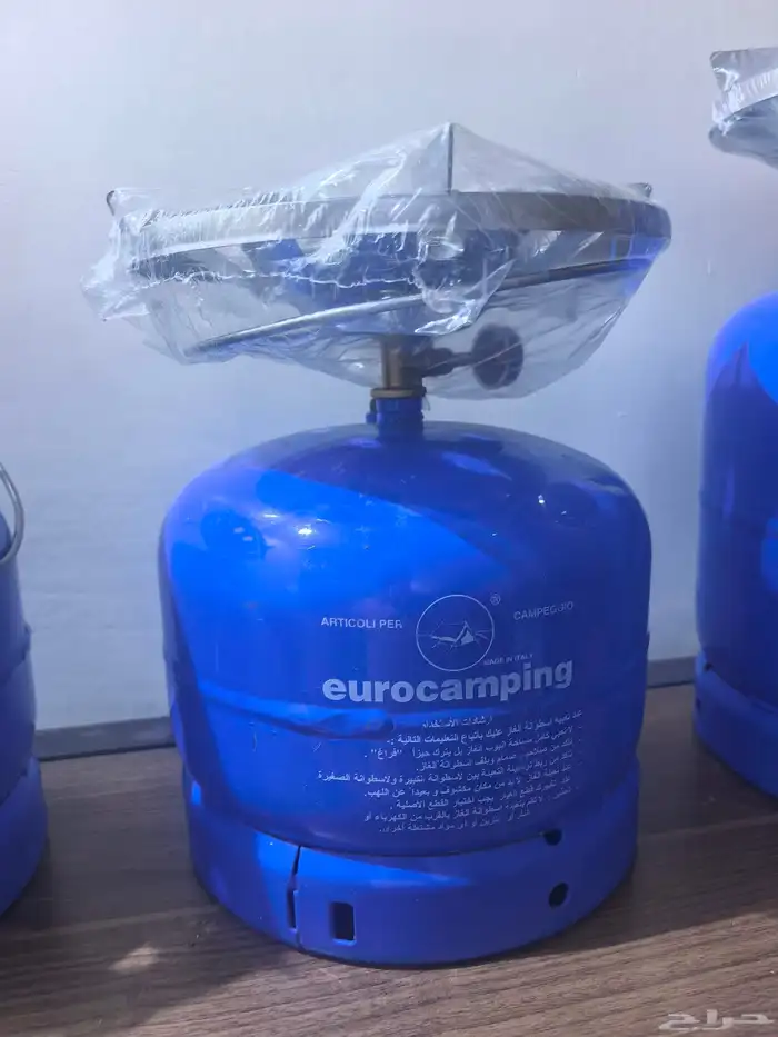 دوافير ايطاليه مع رأس إيطالي جديد 1