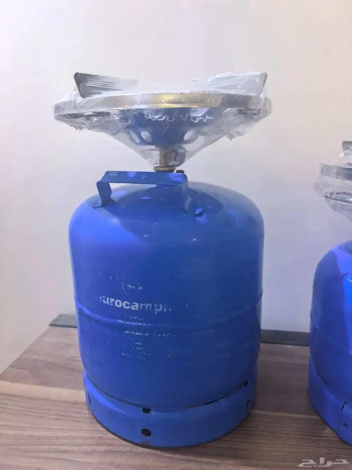 دوافير ايطاليه مع رأس إيطالي جديد 9