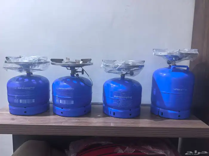 دوافير ايطاليه مع رأس إيطالي جديد 4