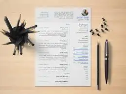 تصميم سيرة ذاتية احترافية (عربي إنجليزي)   CV sume Design 4