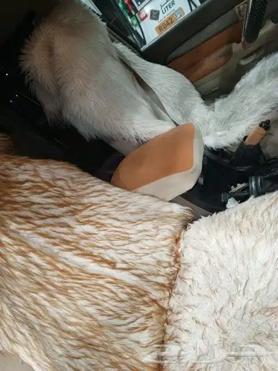 برادو اقبل البدل بالنترا نظيف 7