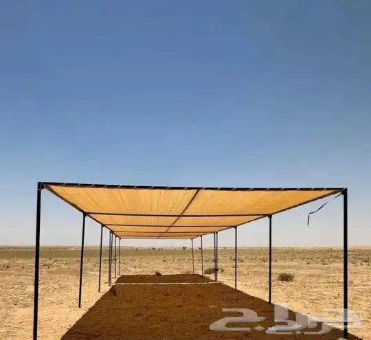 مضلات جميع الأنواع 7