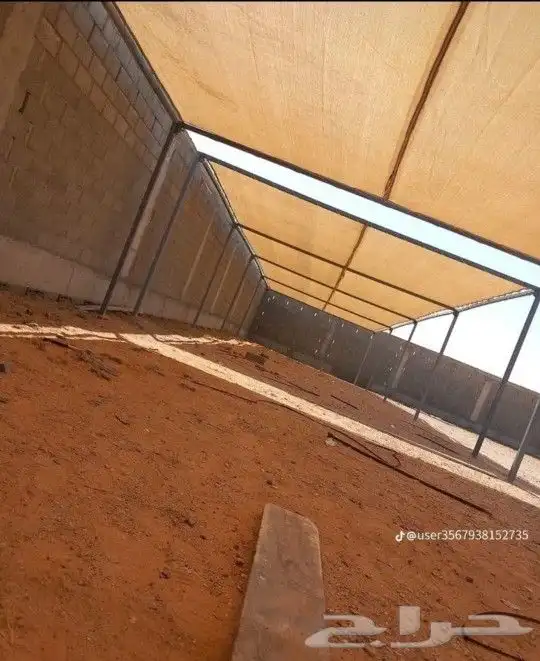 مضلات جميع الأنواع 9