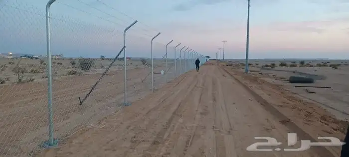 توريدوتركيب الشبوك 8