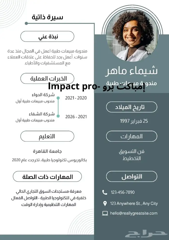 تصميم سيره ذاتيه احترافية 2