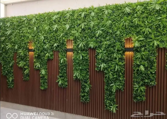 تنسيق حدائق فلل واسترحات 0