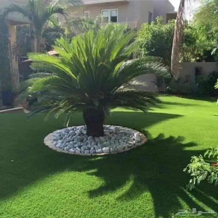 تنسيق حدائق فلل واسترحات 1