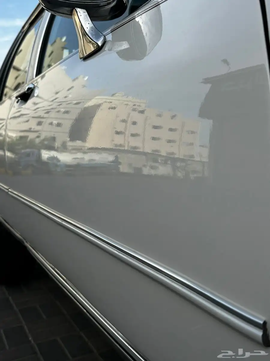 كابرس 1982 20