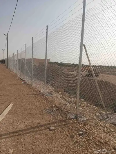 يوجد لدينا جميع انواع النخيل والشبوك 6