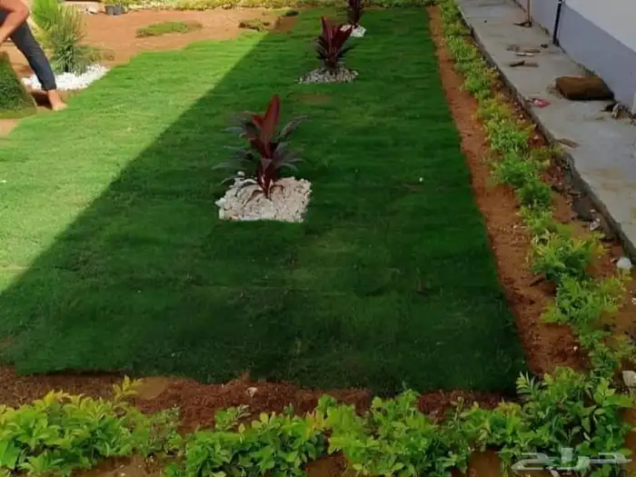 تنسيق حدائق فلل واسترحات 6