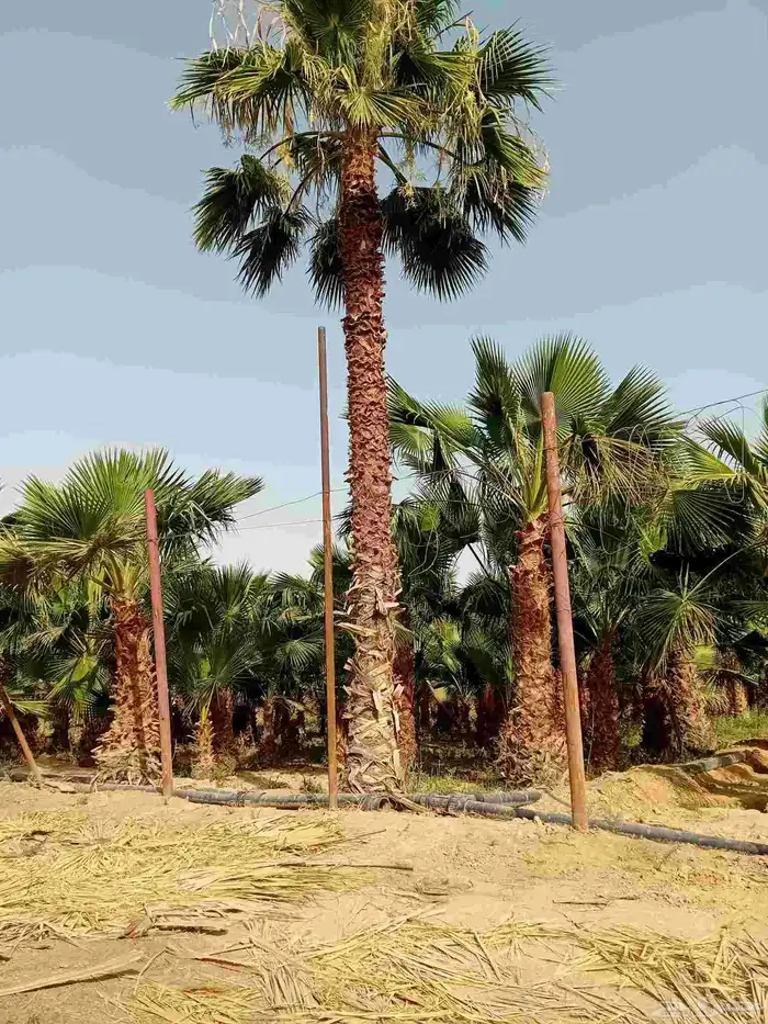 اتصل نصل اي مكان 5