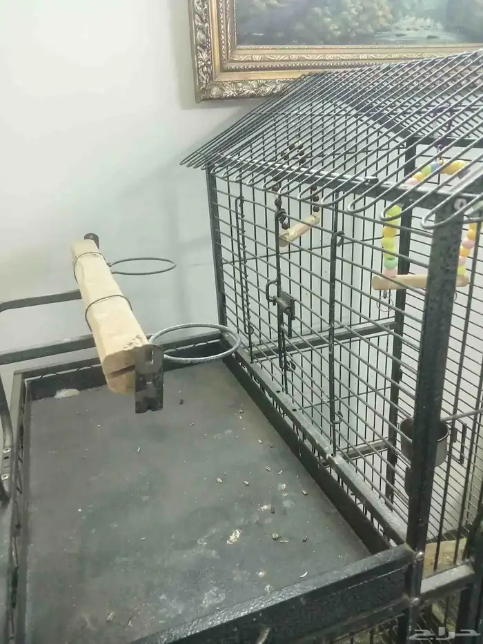 قفص ببغاوات كبير مع بياضه 2