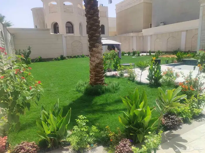 تنسيق حدائق فلل واسترحات 10