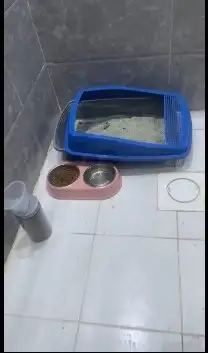 اغراض قطط للبيع 0