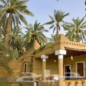 ابو ناصر التراث بنيان طين وسقوف وتليوس طين وبنيان حجر 1