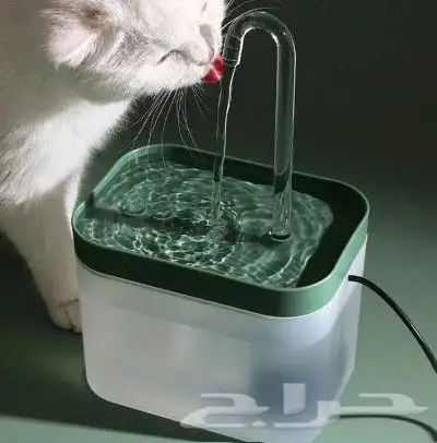 اغراض قطط للبيع 1