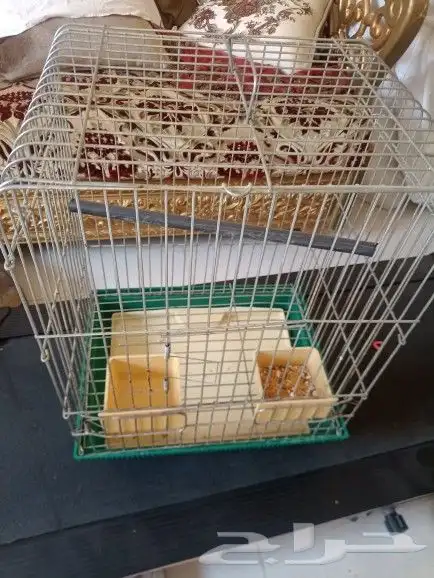 قفص كاسكو 1