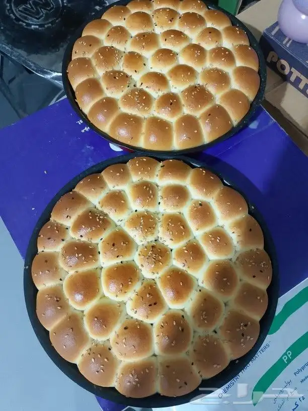 معلم ومدرب خلية نحل ومعجنات ومعمول بالقشطه والتمر ابحث عن عم 0