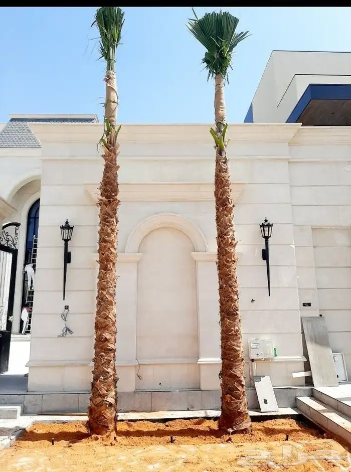 اتصل نصل اي مكان 8