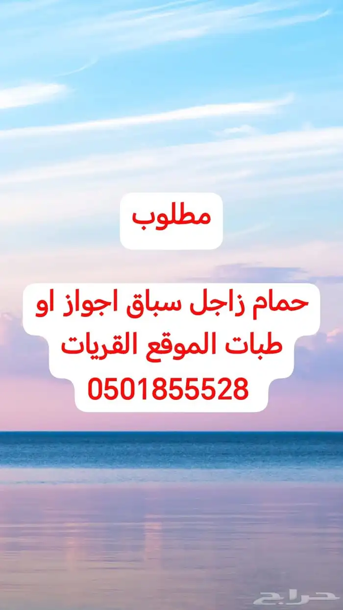 مطلوب حمام زاجل سباق اجواز او طبات الموقع القريات 0