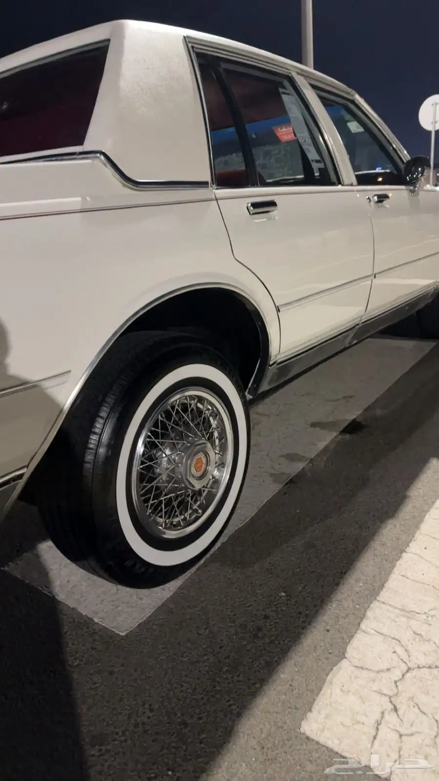 كابرس 1982 10