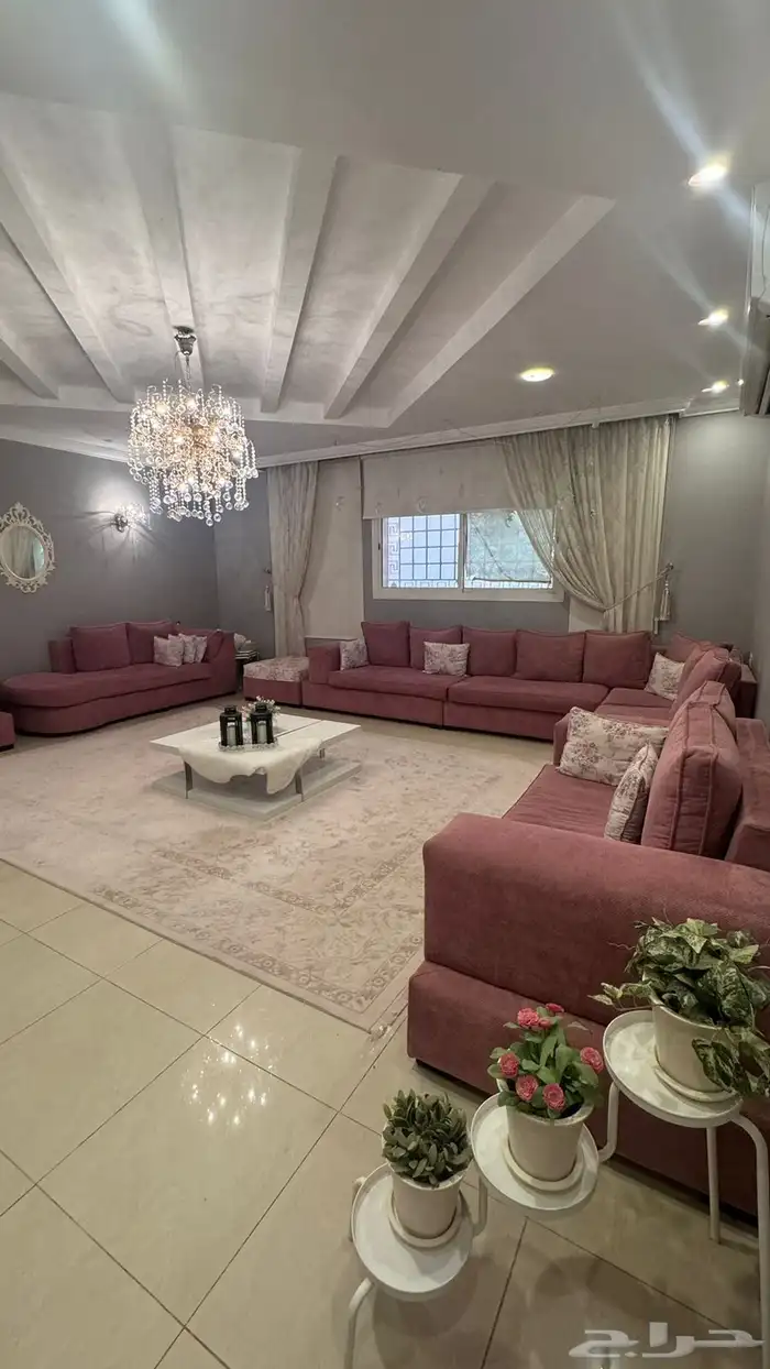 سجاده نظيفه للبيع 1