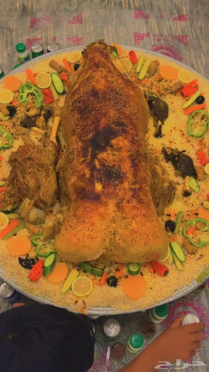 طباخ متنقل 2