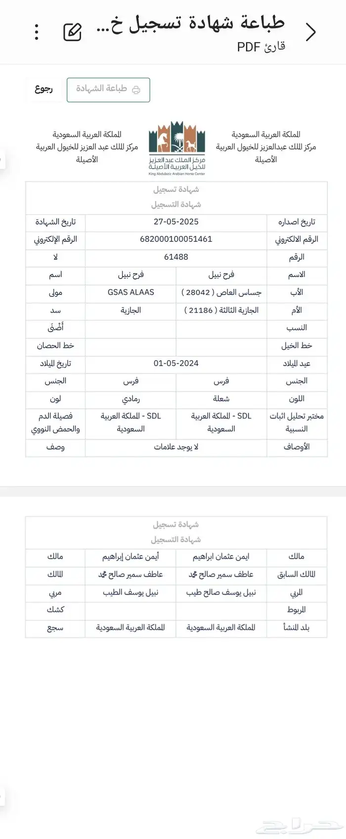مهرة واهو بيور للبيع 2