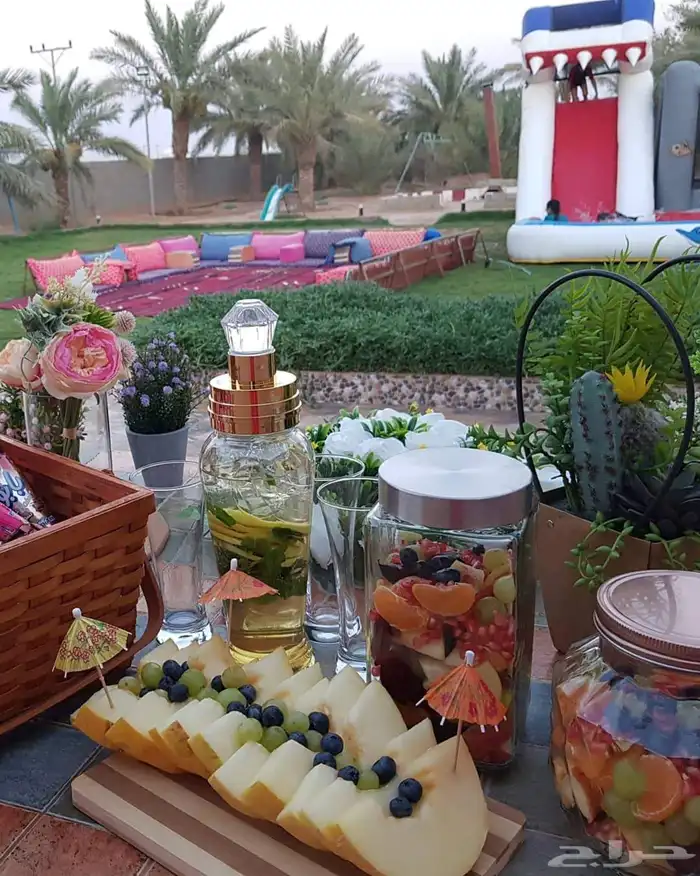 مزرعة واستراحة الريف للايجار اليومي القصيم 14