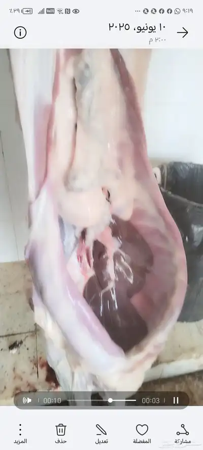 سواكني مربى تربيه صحيحه علي اعلاف طبيعيه والكتاب من عنوانه 3