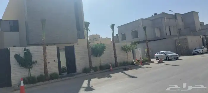 نخل واشنطن ملكي وشغل النخل مظمون 3
