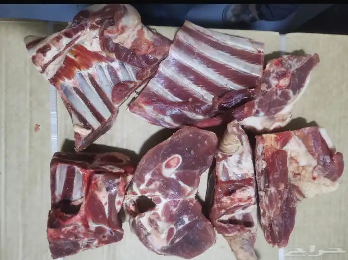 خرفان بربري مقطعة ومجمدة 0