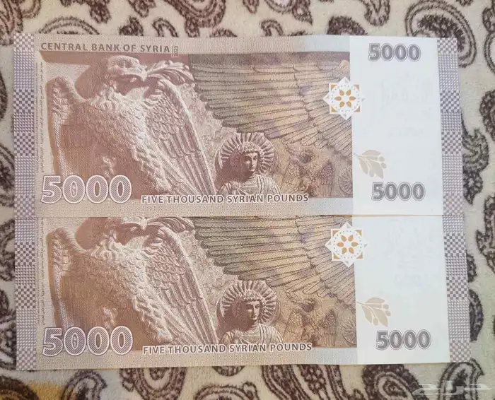 5000ليره سوري 1