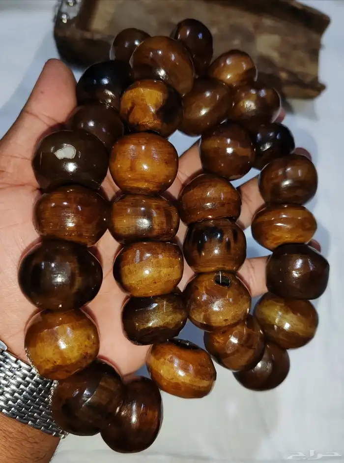 قطعة من النوادر... عقد زراف 7