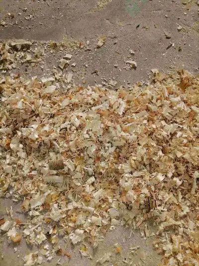 نشاره خيل ودواجن وبيع طبليات خشب 8