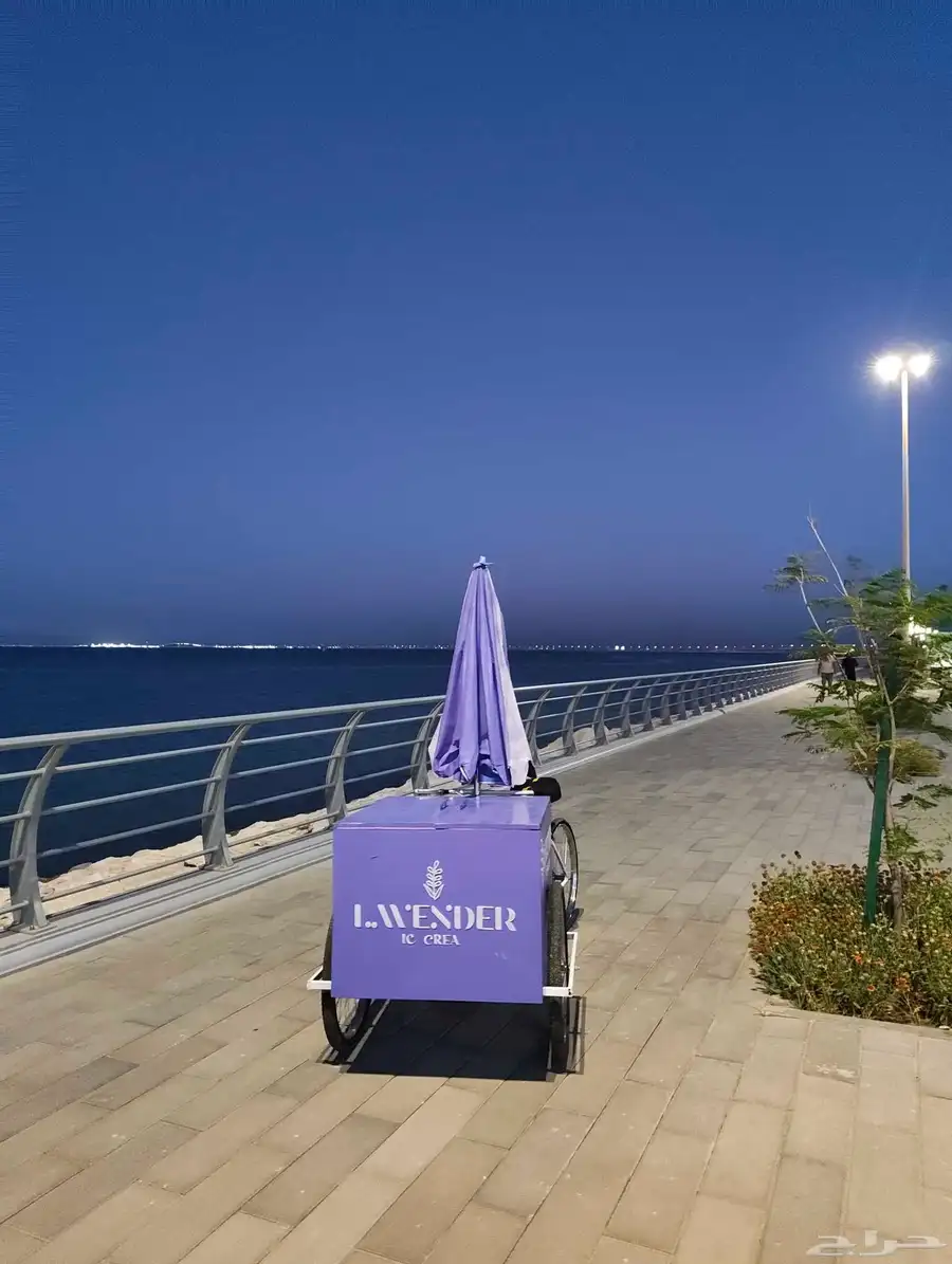 عربة ايسكريم 1