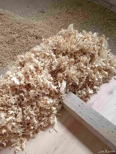 نشاره خيل ودواجن وبيع طبليات خشب 4