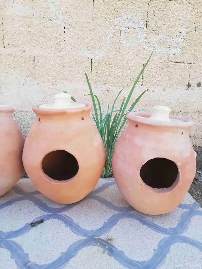 بياضات طيور فخار زيبرا و بادجي و روز 0