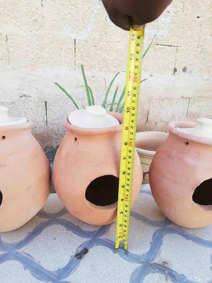 بياضات طيور فخار زيبرا و بادجي و روز 3