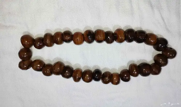 قطعة من النوادر... عقد زراف 5