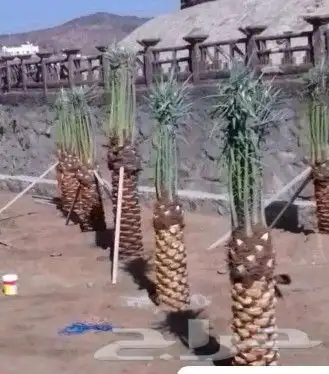 جميع أشغال أنخل تحويض تكريب واشنطن 2