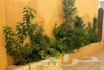 تنسيق الحدائق وتركيب جميع شبكات الري نحن على استعداد تام لتر 17
