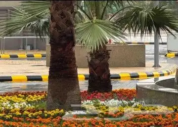 تنسيق الحدائق وتركيب جميع شبكات الري نحن على استعداد تام لتر 2